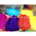wholesale natural new design various colors ostrich feather for party decoration